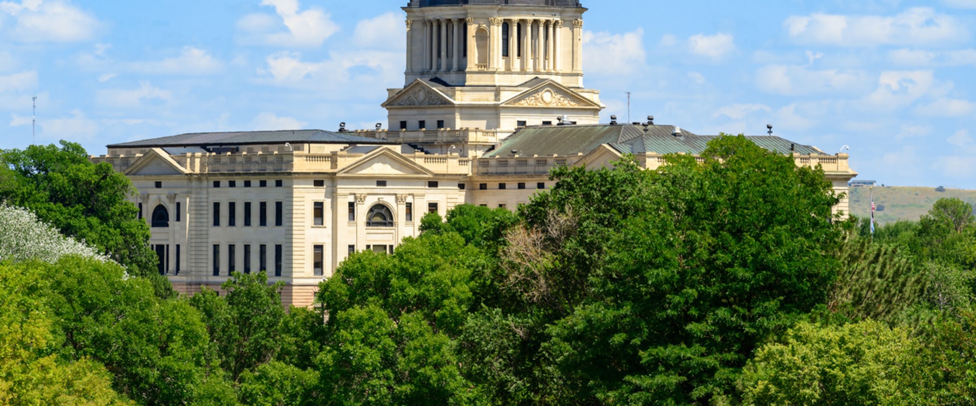 The Role of State-Level and Local Political Committees in Western Oregon