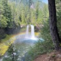 The Legal Process of Dissolving Political Committees in Western Oregon